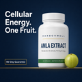 Amla Superfruit Extract